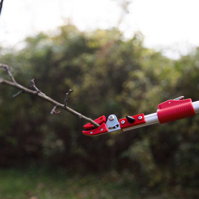 Felco #310 Needlenose Pruner ideal for light pruning