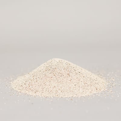Rivendell White Clover