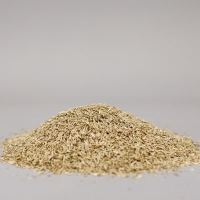 Pasture Mix