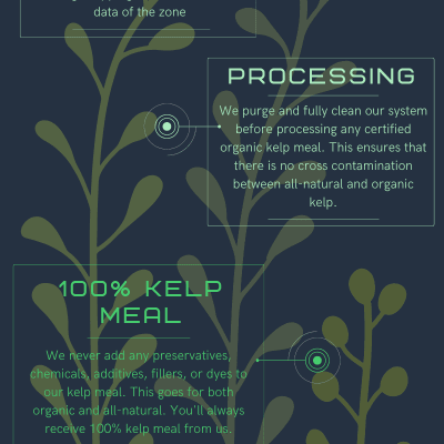 Kelp Meal