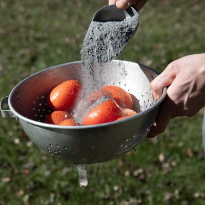 Tomato Sauce