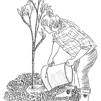 Hole-Istic Spring Planting Mix