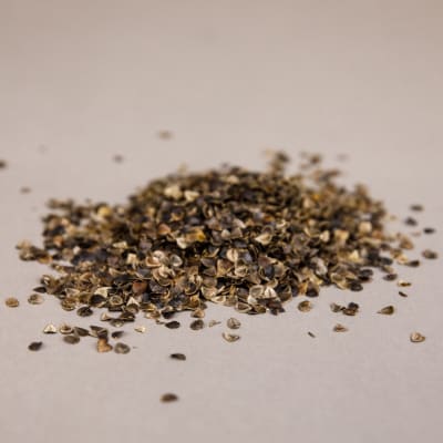 Homemade Red Robin Seasoning Recipe - Practical Stewardship