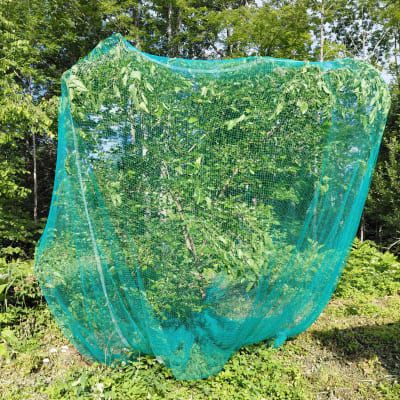 Easy-Drape Rip-Stop Bird/Critter Netting thumbnail #2