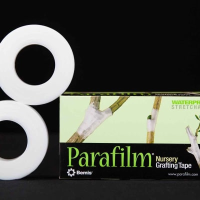 Parafilm Grafting Tape