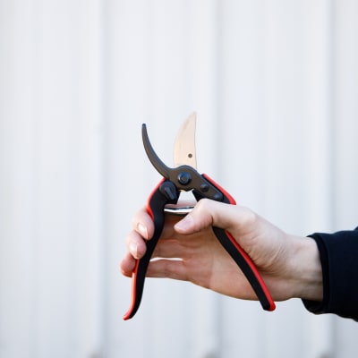 Felco® #322 Trim and Pick Snips - Fedco Bulbs