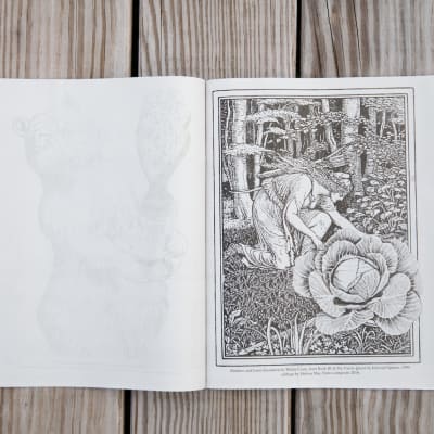 Fedco Coloring Book