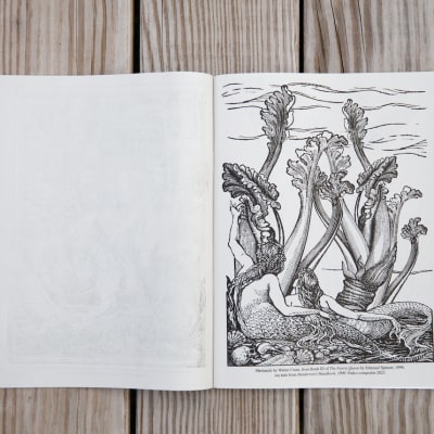 Fedco Coloring Book