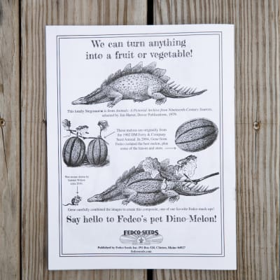 Fedco Coloring Book