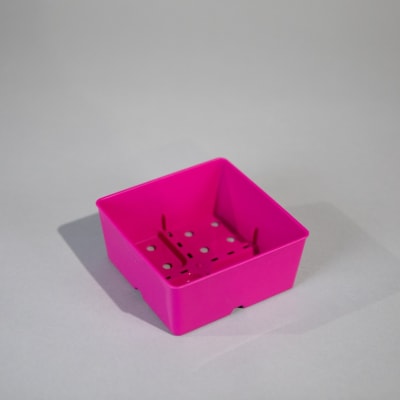 Magenta 5