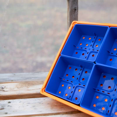 Blue 5