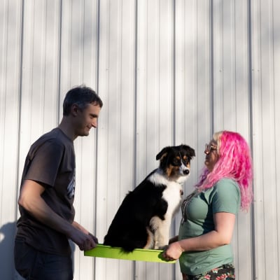 Lime Mega-Duty Bottom Tray