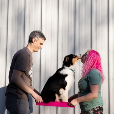 Magenta Mega-Duty Bottom Tray