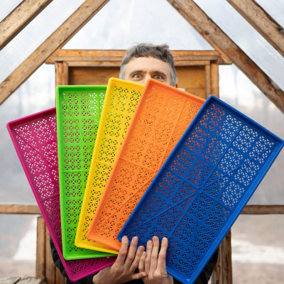 Multicolor Bundle of Shallow Heavy-Duty Mesh Trays