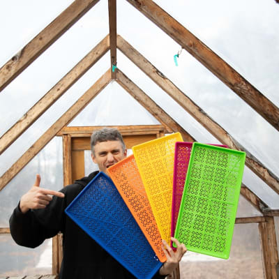 Multicolor Bundle of Shallow Heavy-Duty Mesh Trays