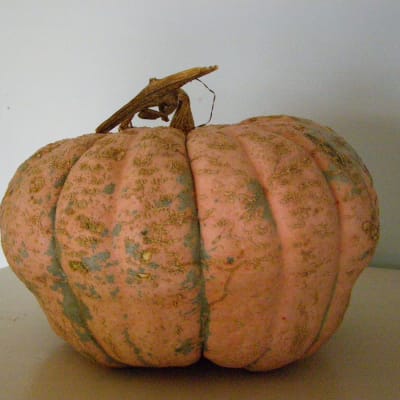 Candy Roaster