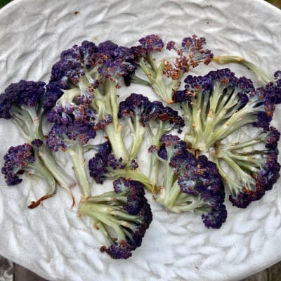 Murasaki Fioretto 70