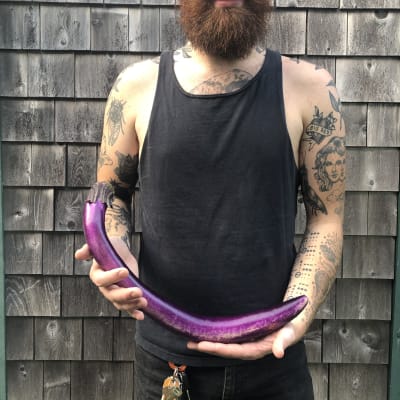 Indigo Blade