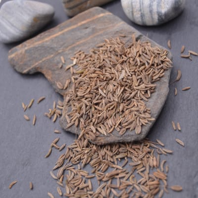 Caraway