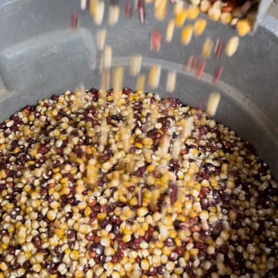 Abenaki Calais Flint Corn
