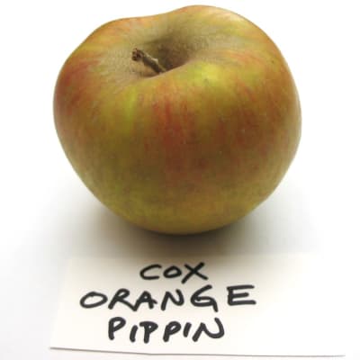Cox’s Orange Pippin