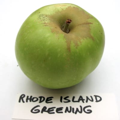 Rhode Island Greening