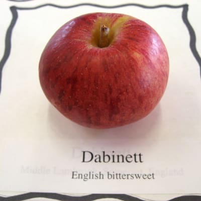Dabinett thumbnail #1