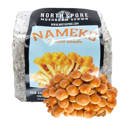 Nameko