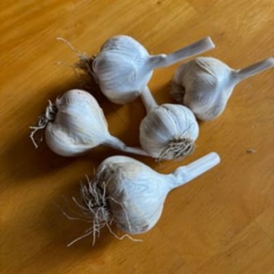 Silver White OG  thumbnail #1 