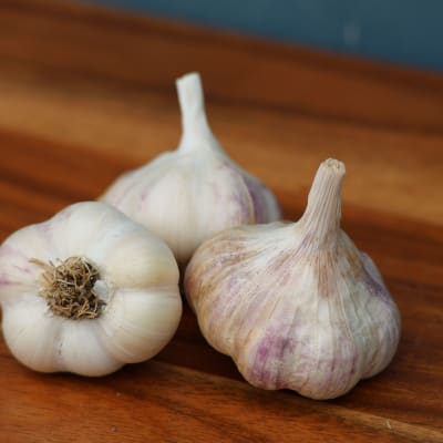 Inchelium Red ECO  thumbnail #1 