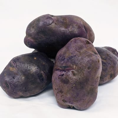 Adirondack Blue OG 2 lbs