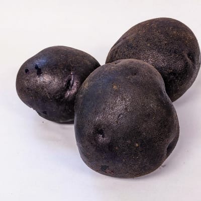 Blackberry PVP OG 2 lbs