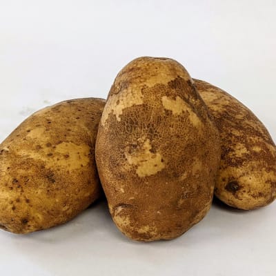 Russet Burbank OG 2 lbs