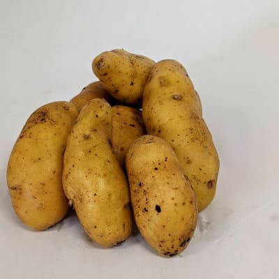 Austrian Crescent 2 lbs