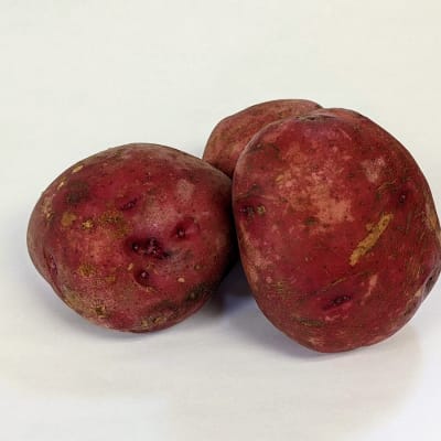 Dark Red Norland 2 lbs
