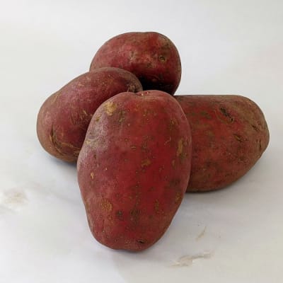 Baltic Rose PVP 2 lbs