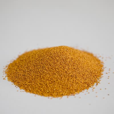 Winter Camelina