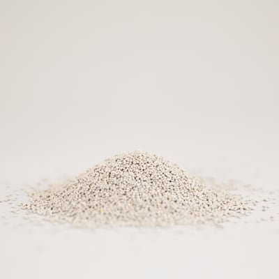 Dutch White Clover
