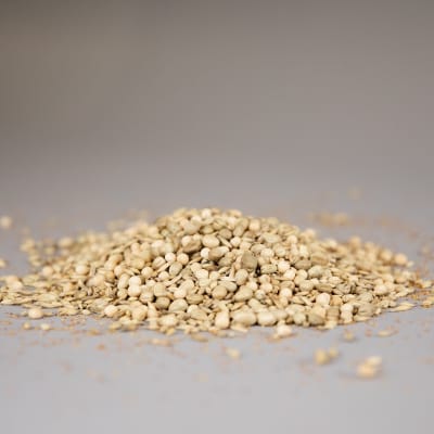 Northern Growers’ Winterkill Mix