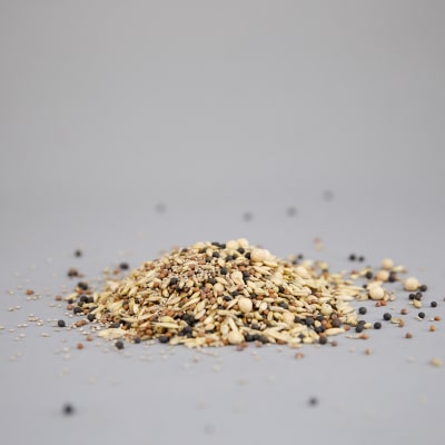 NOFA Cover Crop Cocktail