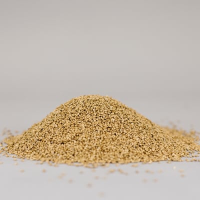 Japanese Millet