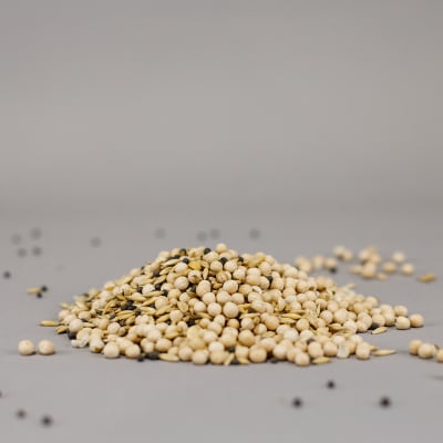 PVO Soil-Building Seed Mix