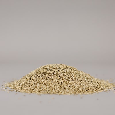 Annual Ryegrass