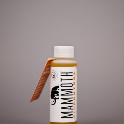 Mammoth P