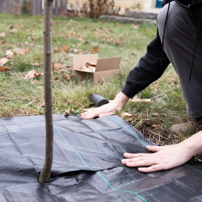 Woven Tree Squares