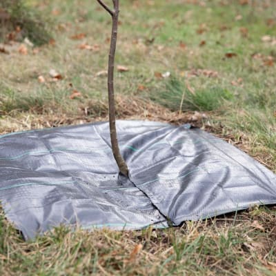 Woven Tree Squares