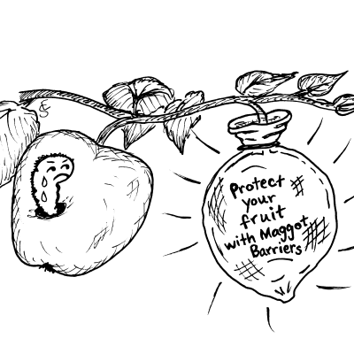 Maggot Barriers for Tree Fruit