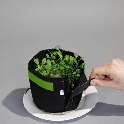 Fabric Transplant Pot