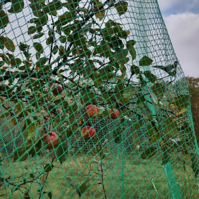 Easy-Drape Rip-Stop Bird/Critter Netting
