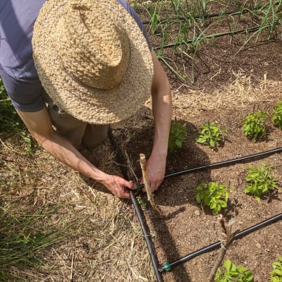 Garden Irrigation Starter Kit